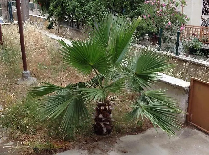 *** Beyaz *** Apartamento